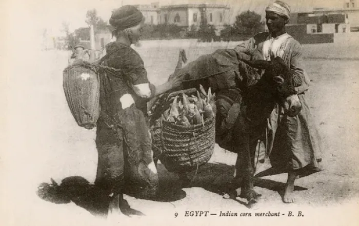 Framed Print : Egypt - Indian Corn Merchant with laden donkey Framed Print : Egypt - Indian Corn Merchant with laden donkey