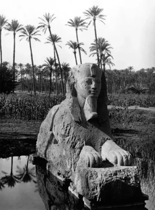Framed Print : Egypt Memphis Framed Print : Egypt Memphis