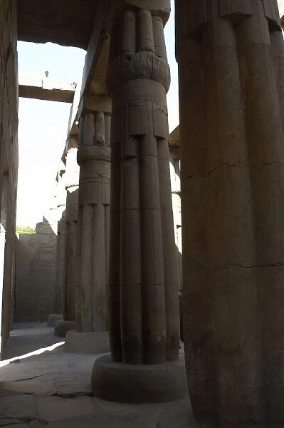 EGYPT. Papyrus column. Offerings room. Temple of Luxor. New