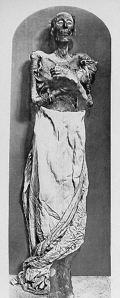 Egypt Ramesses II Mummy Victorian period