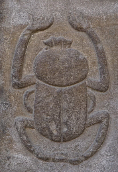 Egypt. Temple of Horus. Relief depicting a beetle. Edfu