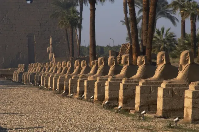 Framed Print : EGYPT. TEMPLE OF LUXOR. Avenue of the Sphinxes Framed Print : EGYPT. TEMPLE OF LUXOR. Avenue of the Sphinxes