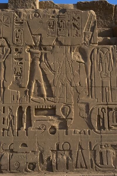 Egyptian Art. Karnak. The Pharaoh Ramesses II making an offe