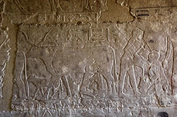Egyptian Art. Necropolis of Saqqara. Mastaba. Relief. Milkin