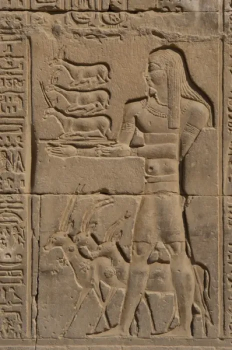 Framed Print : Egyptian Art. Temple of Kom Ombo. Offerer. Relief Framed Print : Egyptian Art. Temple of Kom Ombo. Offerer. Relief