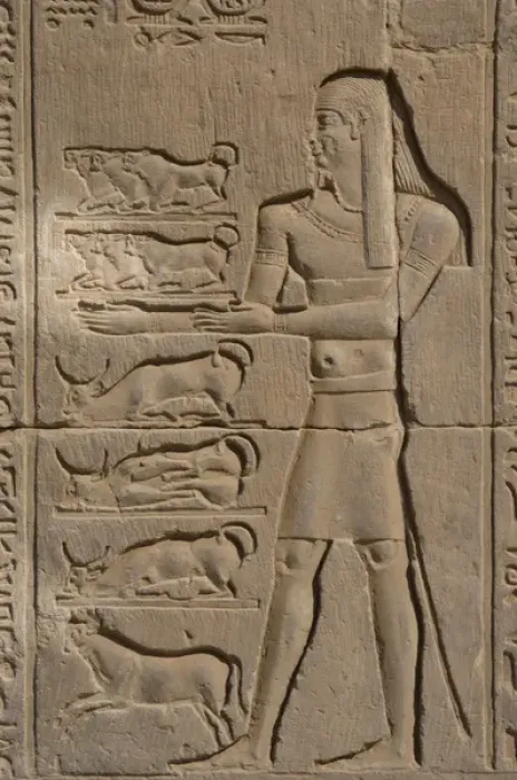 Framed Print : Egyptian Art. Temple of Kom Ombo. Offerer. Relief Framed Print : Egyptian Art. Temple of Kom Ombo. Offerer. Relief