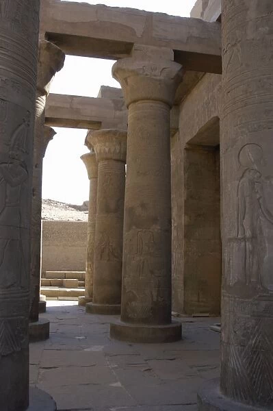 Egyptian Art. Temple of Kom Ombo. Papyrus columns