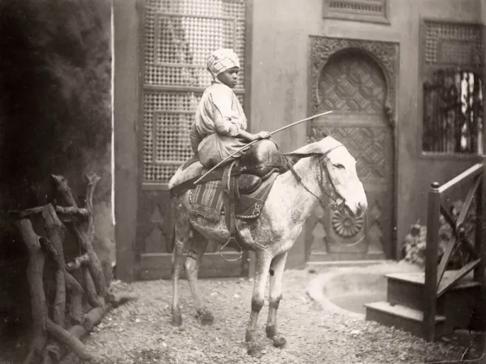 Framed Print : Egyptian boy on a donkey, Egypt, c. 1890 Framed Print : Egyptian boy on a donkey, Egypt, c. 1890