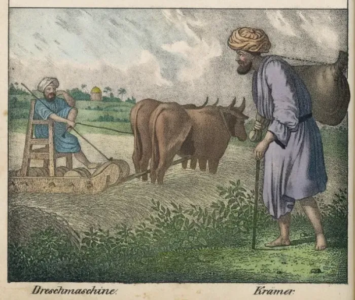 Framed Print : Egyptian Farmer Framed Print : Egyptian Farmer