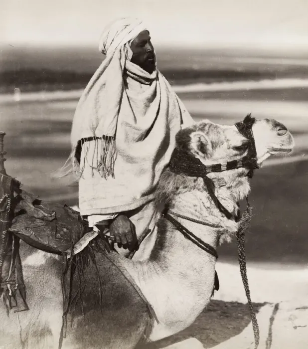 Framed Print : Egyptian man and his camel, Egypt Framed Print : Egyptian man and his camel, Egypt