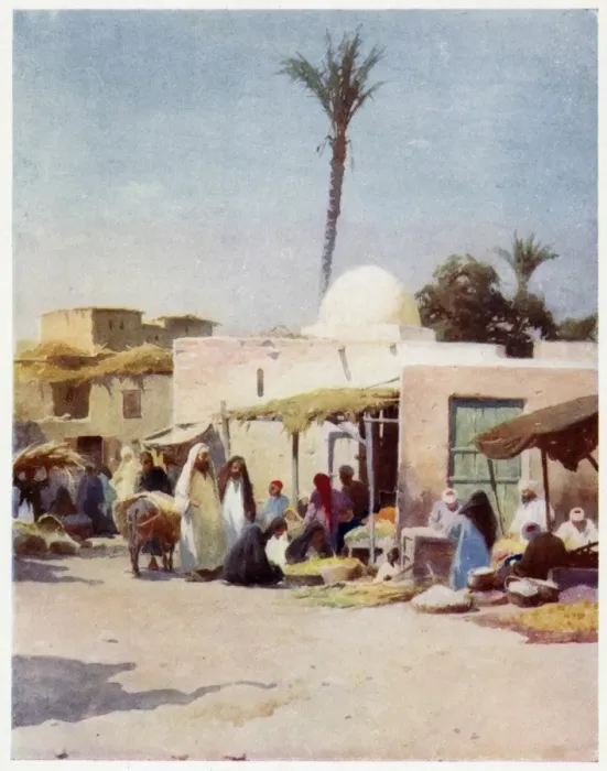 Framed Print : Egyptian Market Scene Framed Print : Egyptian Market Scene
