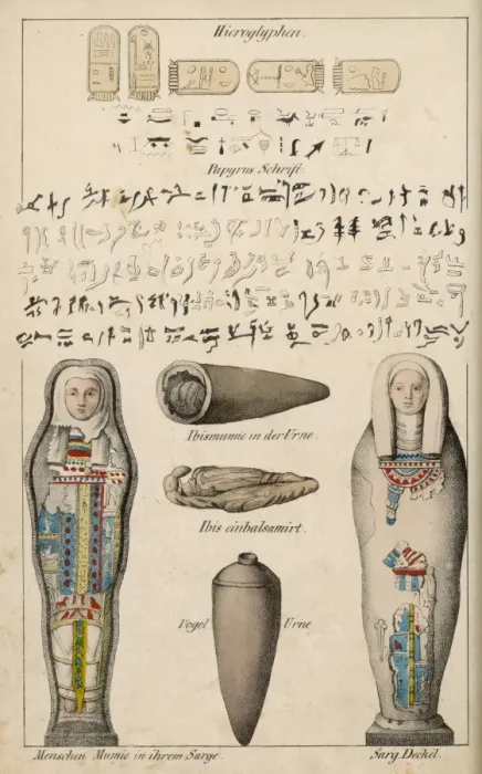 Framed Print : Egyptian Mummies Framed Print : Egyptian Mummies