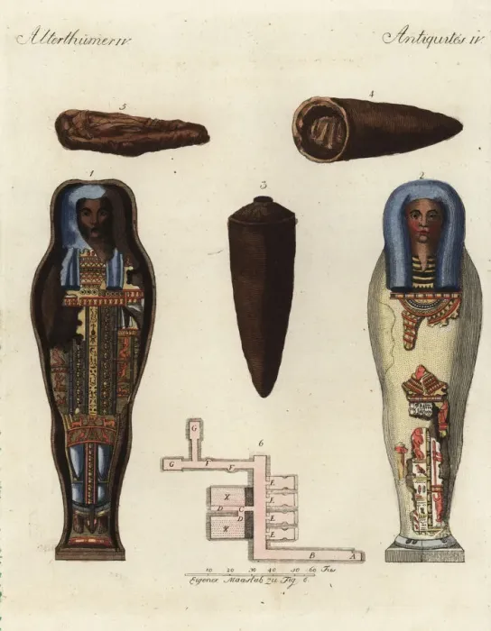 Framed Print : Egyptian mummies and coffins Framed Print : Egyptian mummies and coffins