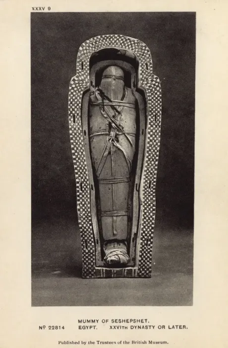 Framed Print : Egyptian Mummy in British Museum, London - Seshepenmehyt Framed Print : Egyptian Mummy in British Museum, London - Seshepenmehyt
