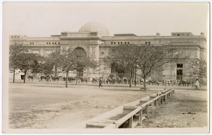 Framed Print : Egyptian Museum of Antiquities, Cairo, Egypt, with soldiers and horses outside. Date: circa 1910s Framed Print : Egyptian Museum of Antiquities, Cairo, Egypt, with soldiers and horses outside. Date: circa 1910s