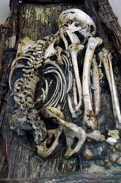 Egyptian skeleton