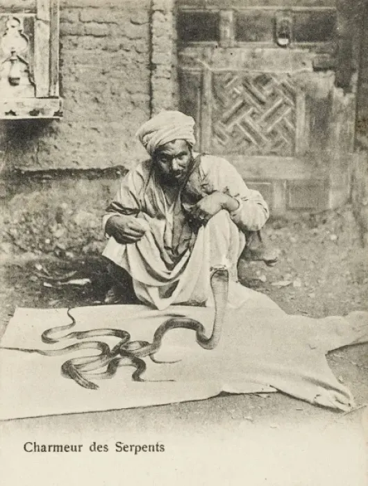 Framed Print : Egyptian snake charmer Framed Print : Egyptian snake charmer