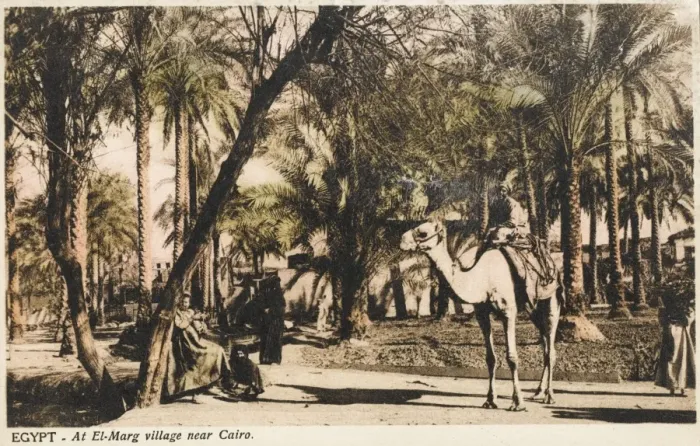 Framed Print : El-Marg village close to Cairo, Egypt Framed Print : El-Marg village close to Cairo, Egypt
