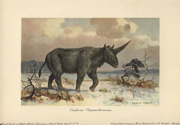 Elasmotherium, extinct genus of giant rhinoceros