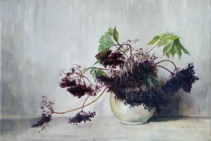 Framed Print : Elderberries Framed Print : Elderberries