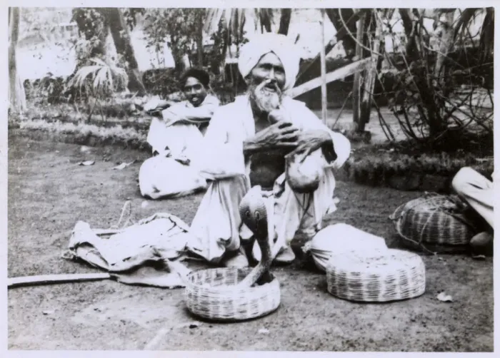Framed Print : Elderly Indian Snake Charmer - enticing a cobra to dance Framed Print : Elderly Indian Snake Charmer - enticing a cobra to dance