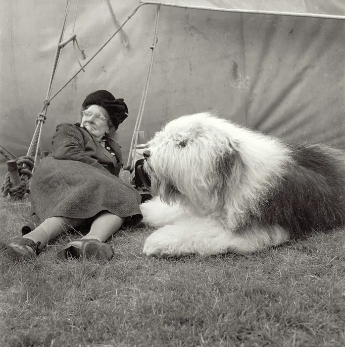 Framed Print : Elderly lady in hat and coat taking a break at dog show in northern England with her dog. Both on ground Framed Print : Elderly lady in hat and coat taking a break at dog show in northern England with her dog. Both on ground