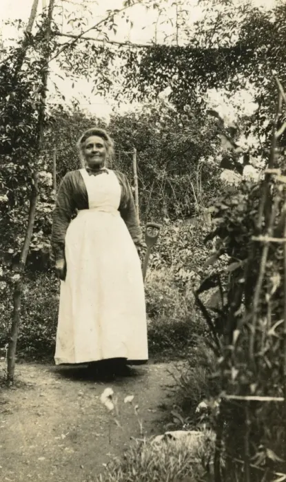 Framed Print : Elderly maid digging in the garden Framed Print : Elderly maid digging in the garden