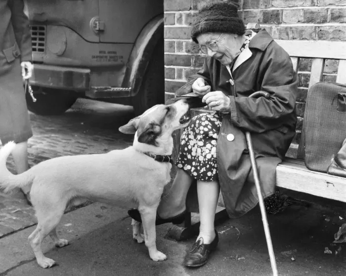 Framed Print : Elderly woman with dog, Balham, SW London Framed Print : Elderly woman with dog, Balham, SW London