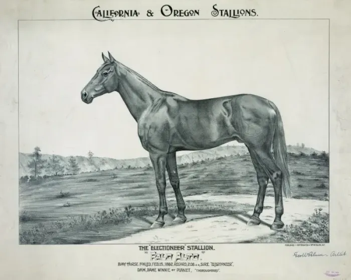 Framed Print : The Electioneer stallion, Palo Alto Framed Print : The Electioneer stallion, Palo Alto