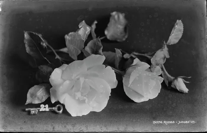 Framed Print : Elegant Roses with Key Framed Print : Elegant Roses with Key