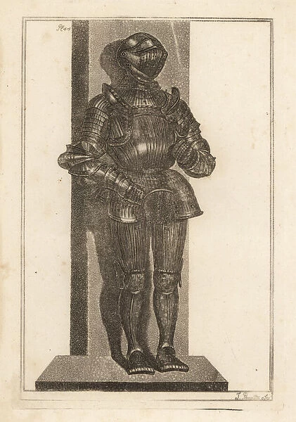 Elegant suit of fluted armour brought by Lord