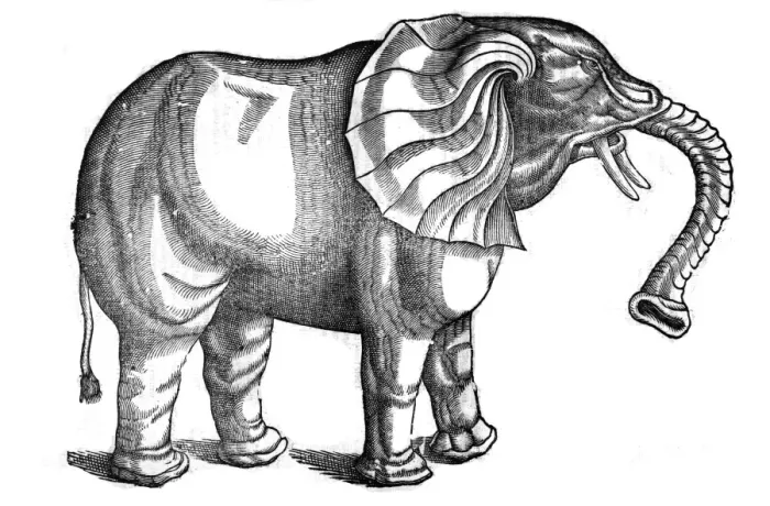 Framed Print : Elephant from Topsells The history of four-footed beasts and serpents Date: 1658 Framed Print : Elephant from Topsells The history of four-footed beasts and serpents Date: 1658