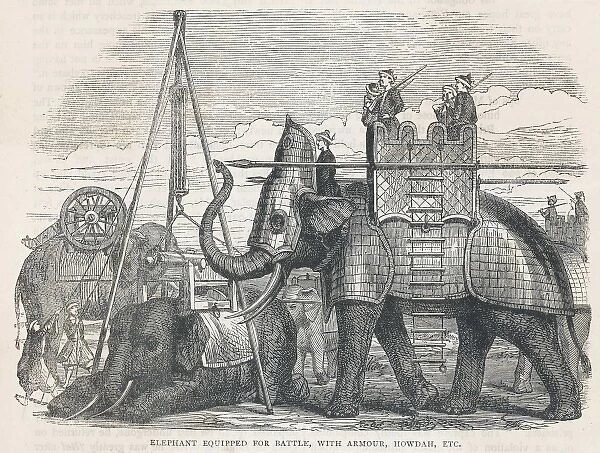 Elephant in Armour. An elephant equipped for battle with armour, howdah &c