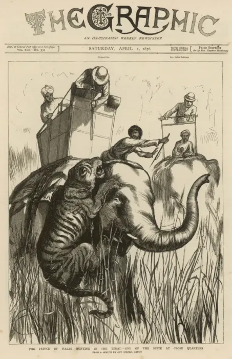 Framed Print : Elephant attacked by Tiger Framed Print : Elephant attacked by Tiger
