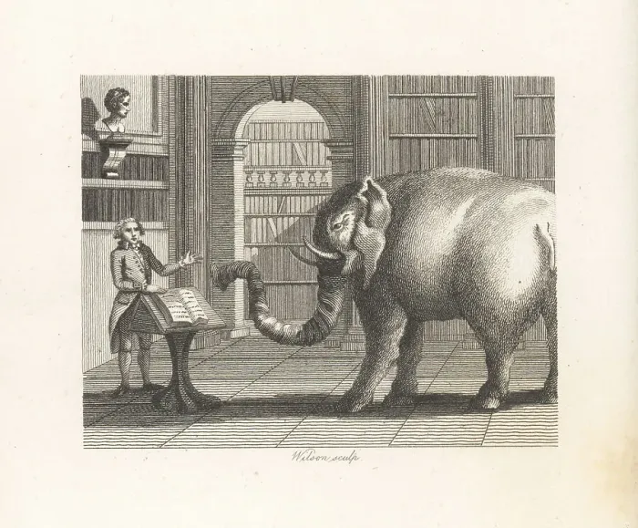 Framed Print : The Elephant and the Bookseller Framed Print : The Elephant and the Bookseller