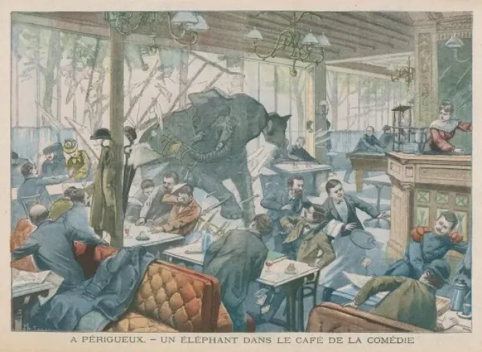 Framed Print : Elephant / Cafe 1905 Framed Print : Elephant / Cafe 1905