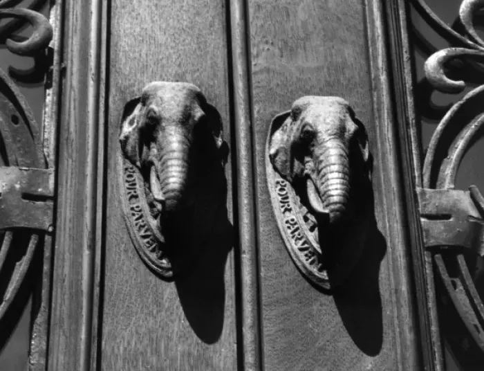 Framed Print : Elephant Doorknockers Framed Print : Elephant Doorknockers