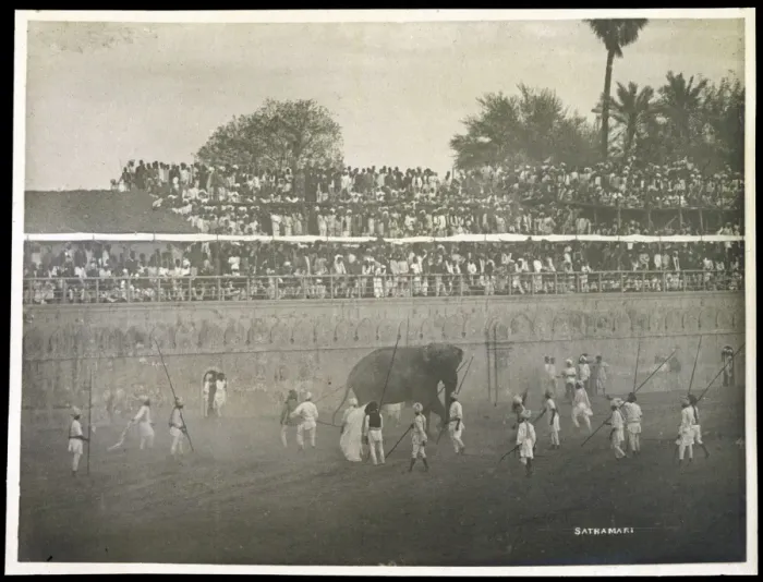 Framed Print : Elephant Fight / Baroda Framed Print : Elephant Fight / Baroda