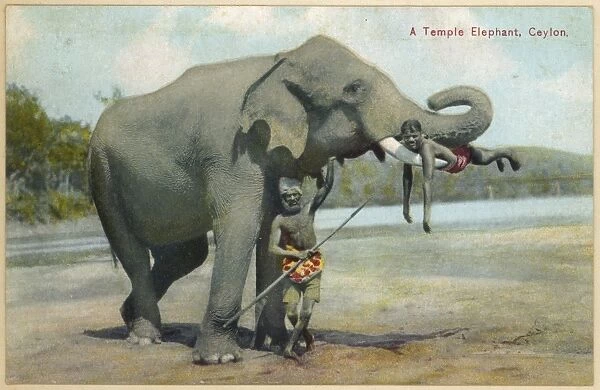 Elephant  /  Keepers 1930S