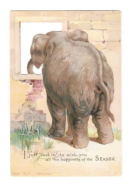 Elephant looking through window on a cutout Christmas card