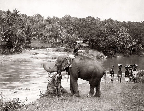 Elephant and mahout river, Ceylon (Sri Lanka), c. 1880 s