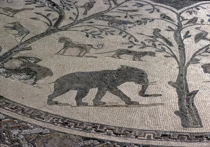 Framed Print : Elephant Mosaic at Volubilis Framed Print : Elephant Mosaic at Volubilis