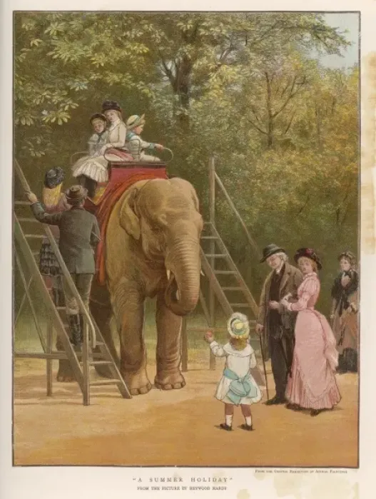 Framed Print : Elephant Ride Framed Print : Elephant Ride