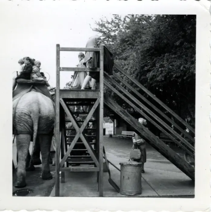 Framed Print : Elephant Ride - Southampton Zoo, Southampton, Hampshire Framed Print : Elephant Ride - Southampton Zoo, Southampton, Hampshire