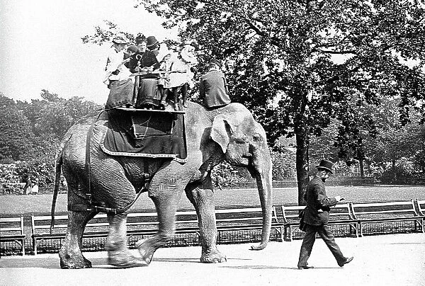 Elephant Ride at the Zoo Victorian period