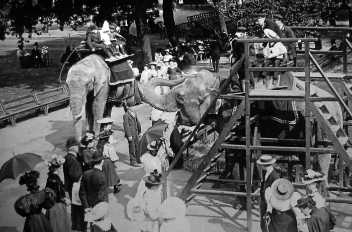 Framed Print : Elephant ride at the zoo - Victorian period Framed Print : Elephant ride at the zoo - Victorian period