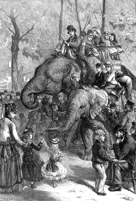 Framed Print : Elephant Rides at London Zoo, 1871 Framed Print : Elephant Rides at London Zoo, 1871