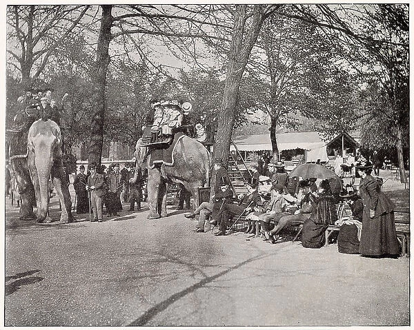 Elephant Rides in Regent's Park Zoo