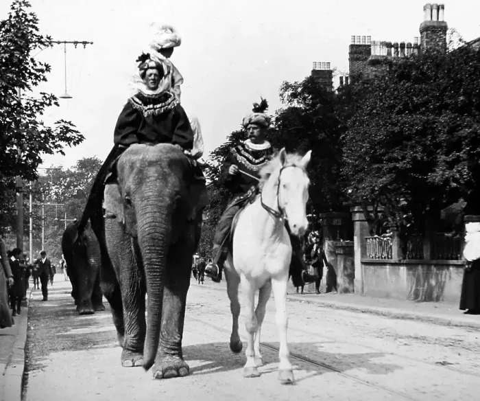 Framed Print : Elephant, Sangers Circus parade Framed Print : Elephant, Sangers Circus parade