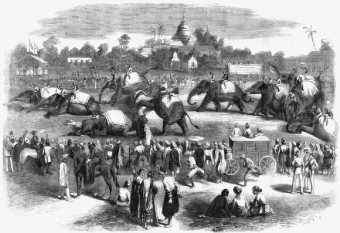 Framed Print : Elephant steeplechase at Rangoon Framed Print : Elephant steeplechase at Rangoon